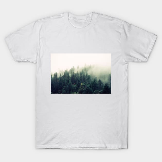 Foggy Forest View T-Shirt by Islanr